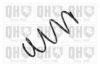 ALFA 50516633 Coil Spring
